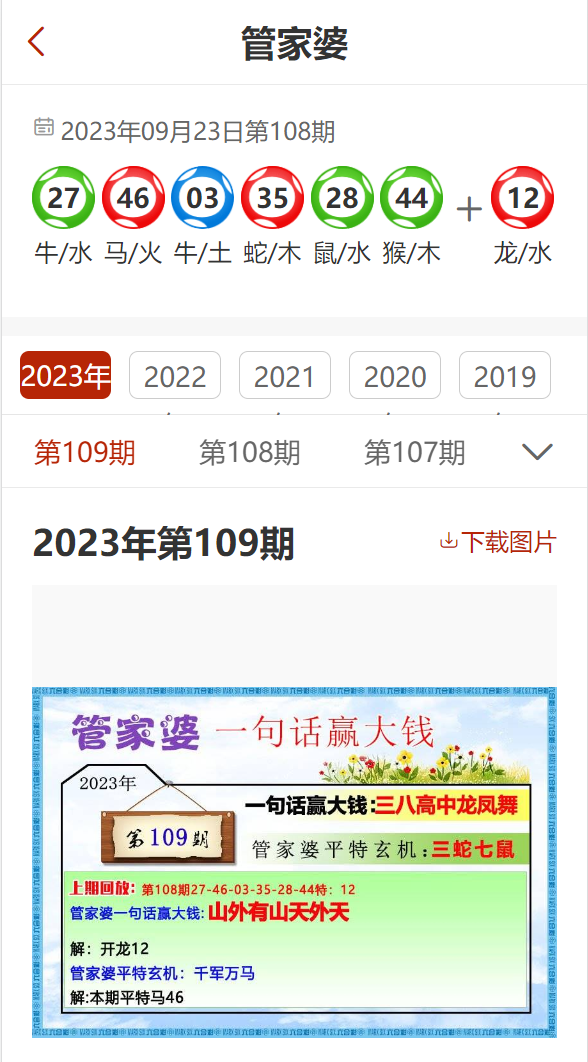 小心:澳门管家婆100%精准风险,仔细释义、解释与落实